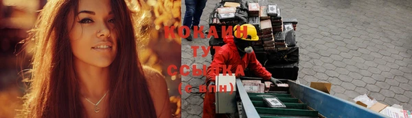 apvp Алексин