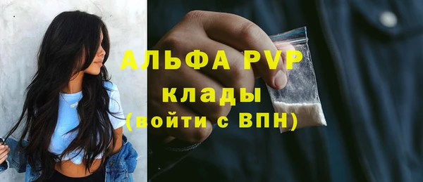 apvp Алексин