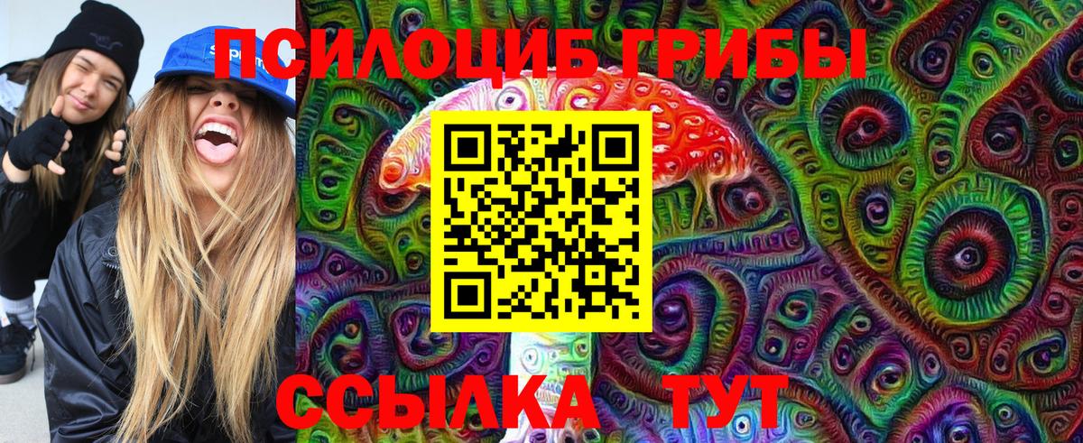 Псилоцибиновые грибы ЛСД  Галлюциногенные грибы Psilocybe  закладка  Рубцовск  Вход с VPN 