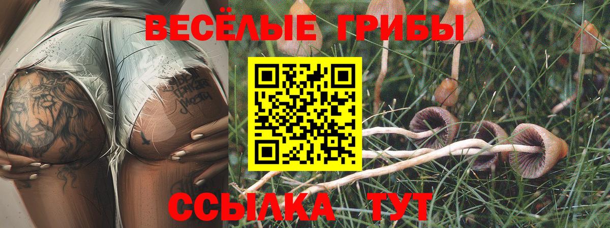 Псилоцибиновые грибы GOLDEN TEACHER Рубцовск